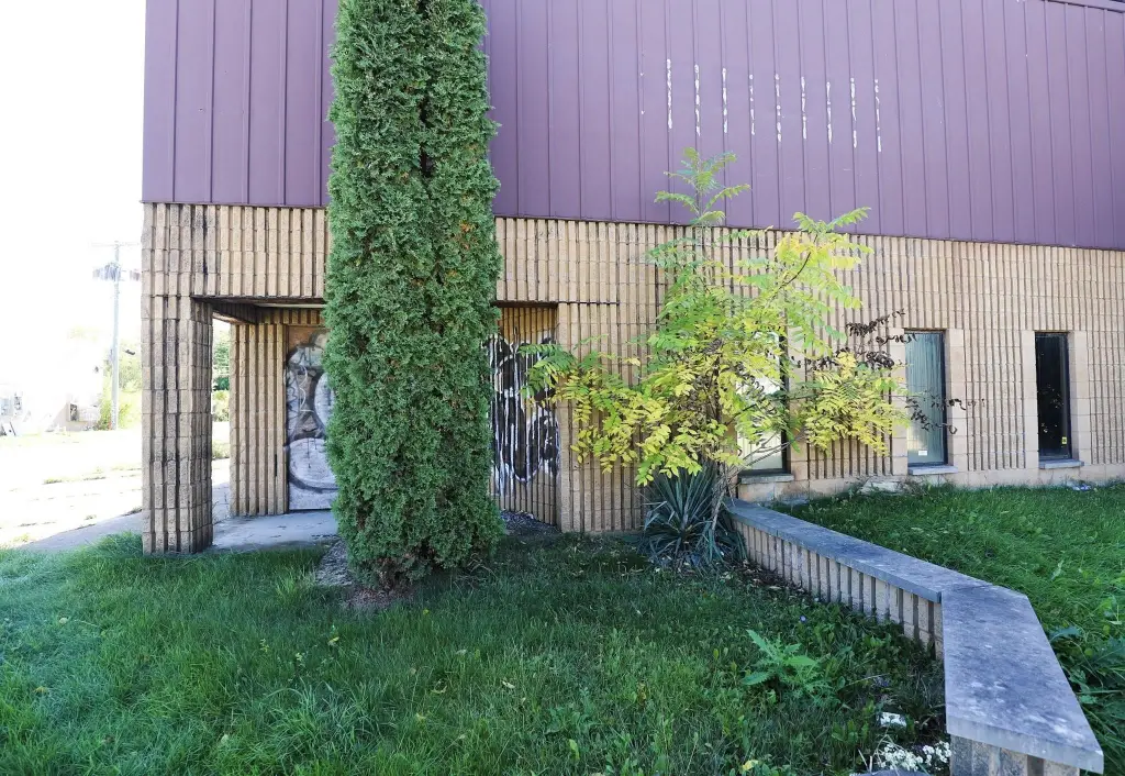 Picture 3
