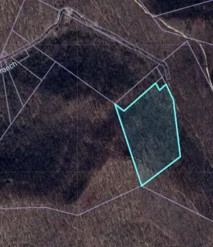 Williamson, WV Vacant Land