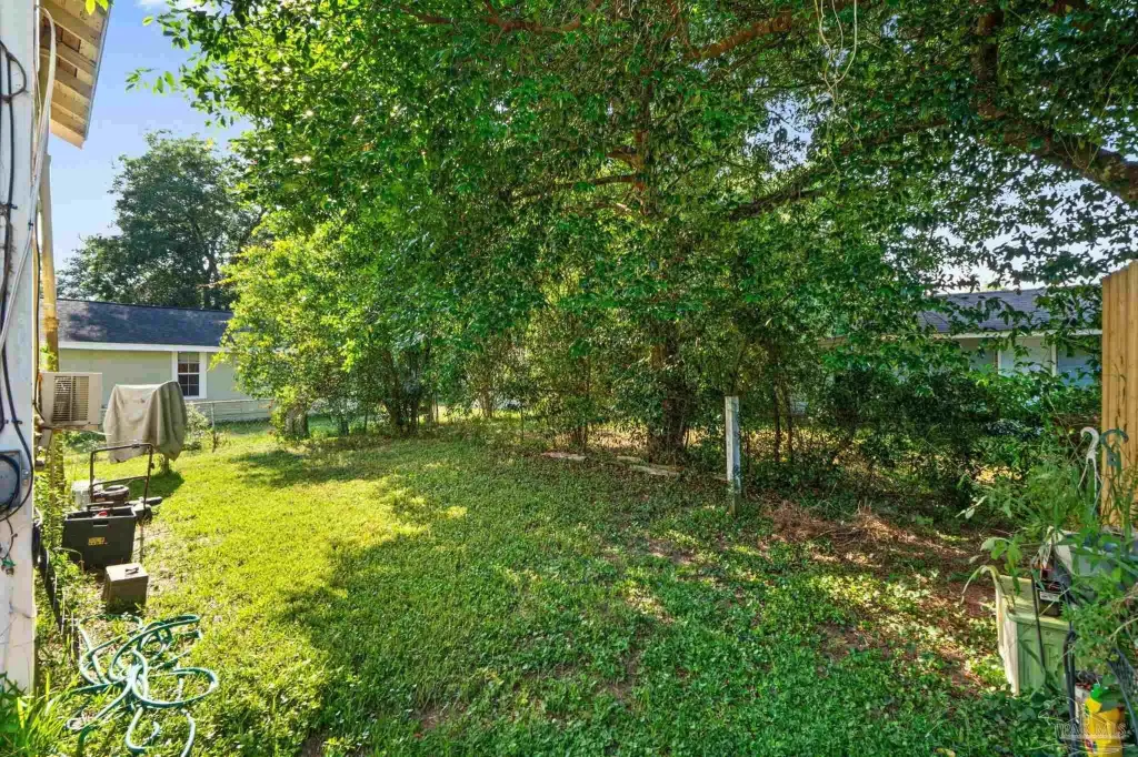 Picture 15