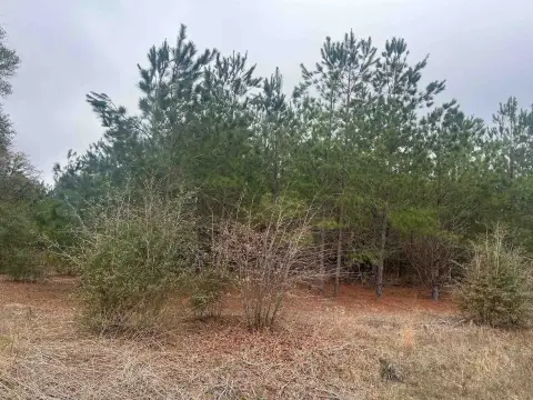 281.75 Acres on Highway 38