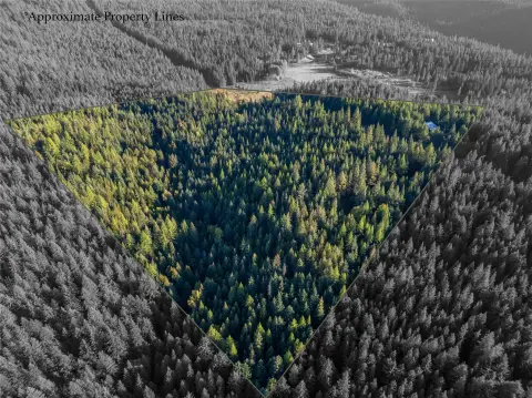 Remote Timbered Land For Sale