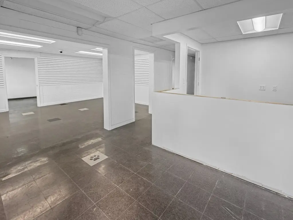 Picture 8