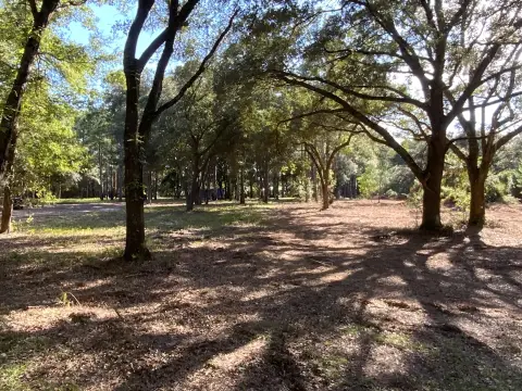 Saint Helena Island Homesite