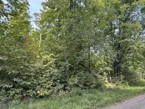 Wooded Hunting Land