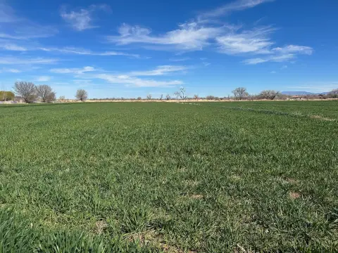 Land in Veguita, New Mexico