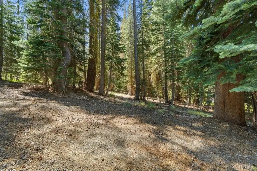 Picture 13