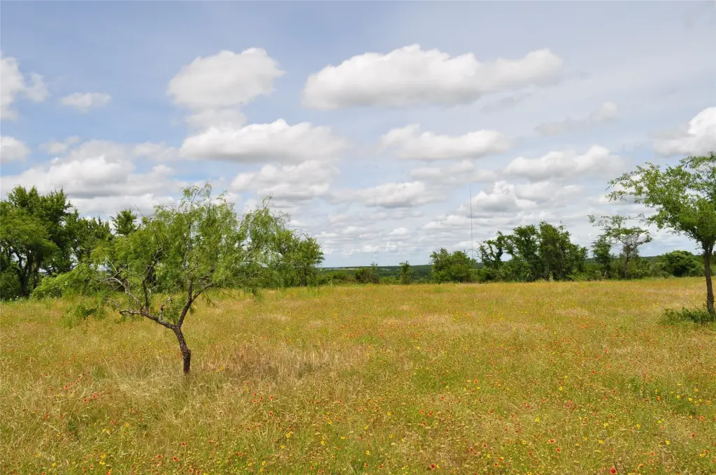 Picture 27