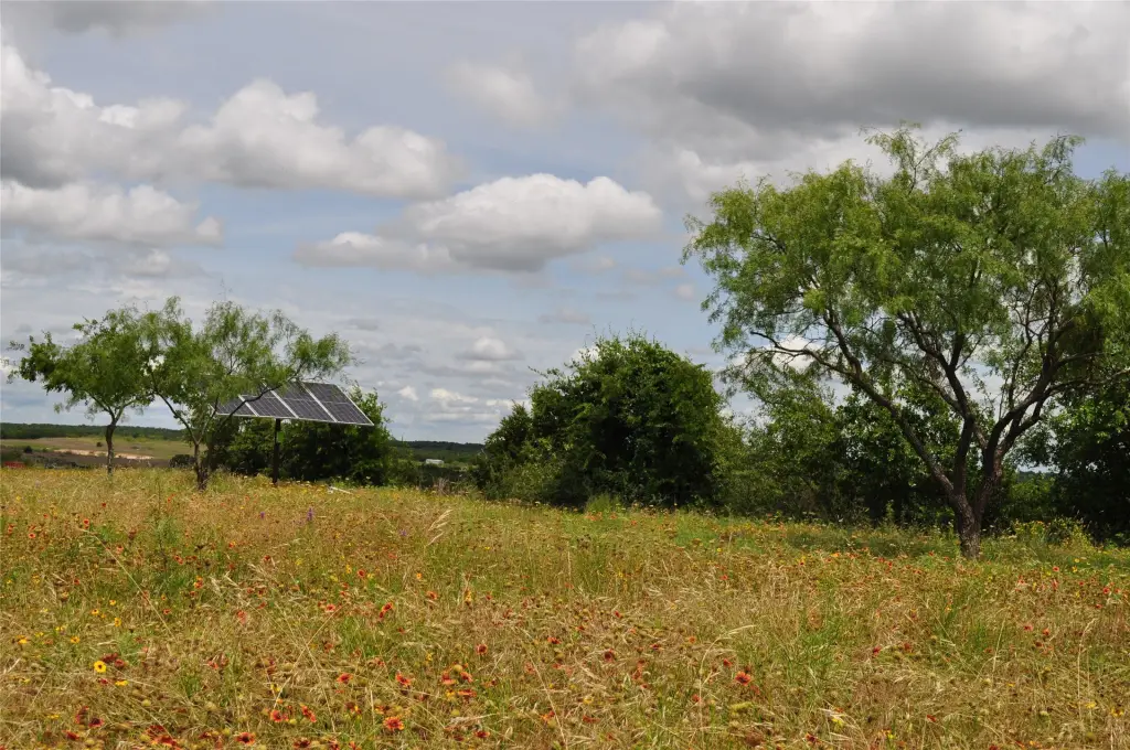 Picture 25