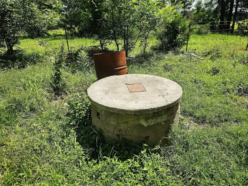 Picture 15