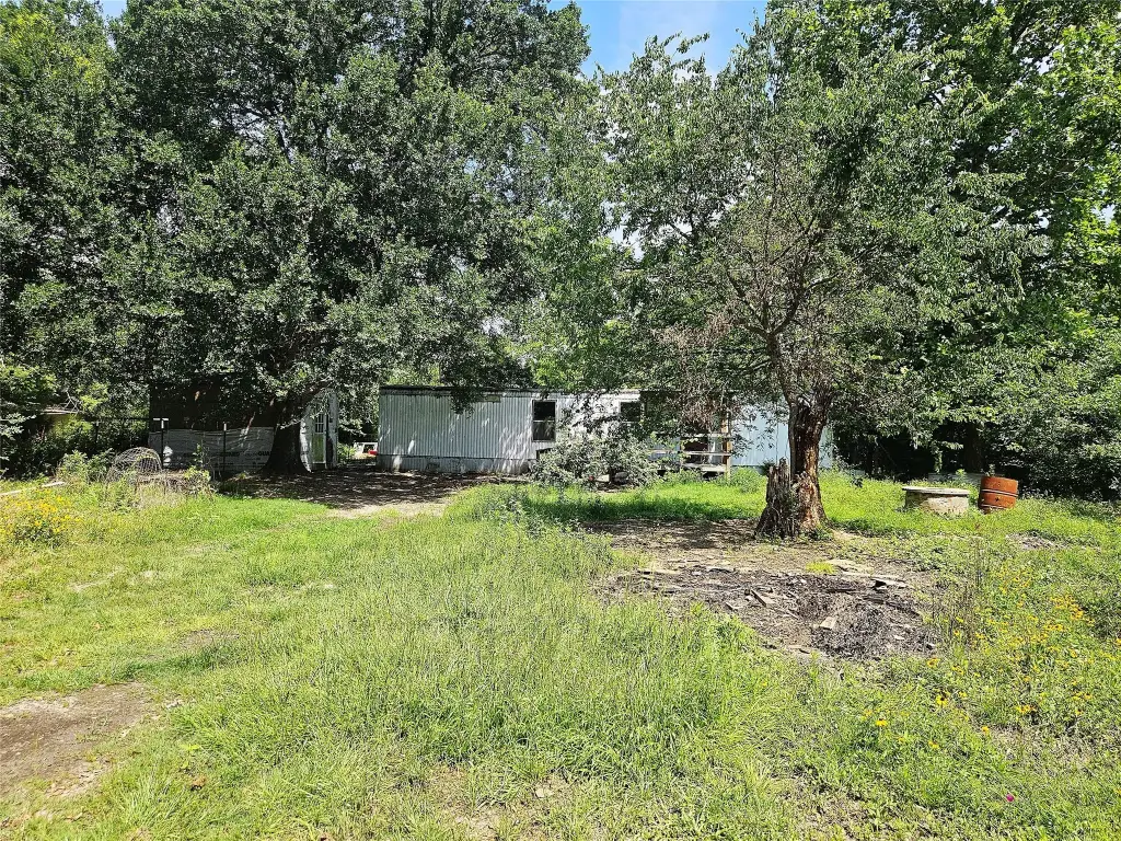Picture 14