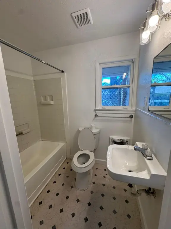 Picture 11
