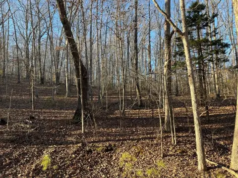 Wooded Acreage Near Kentucky Lake