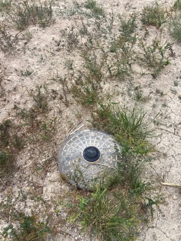 Picture 6