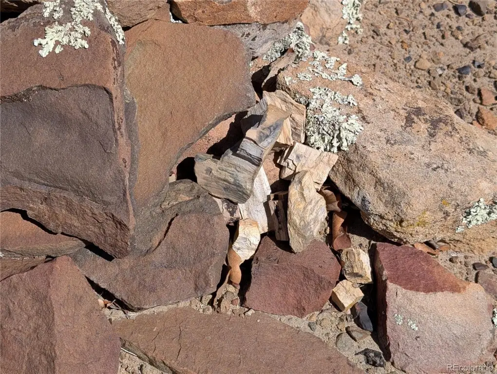 Picture 19