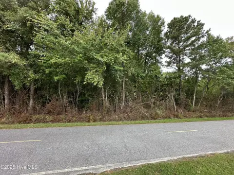 Wooded Land in Elizabeth City