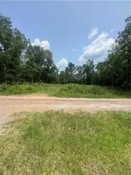 Vacant Land Near Iatt Lake