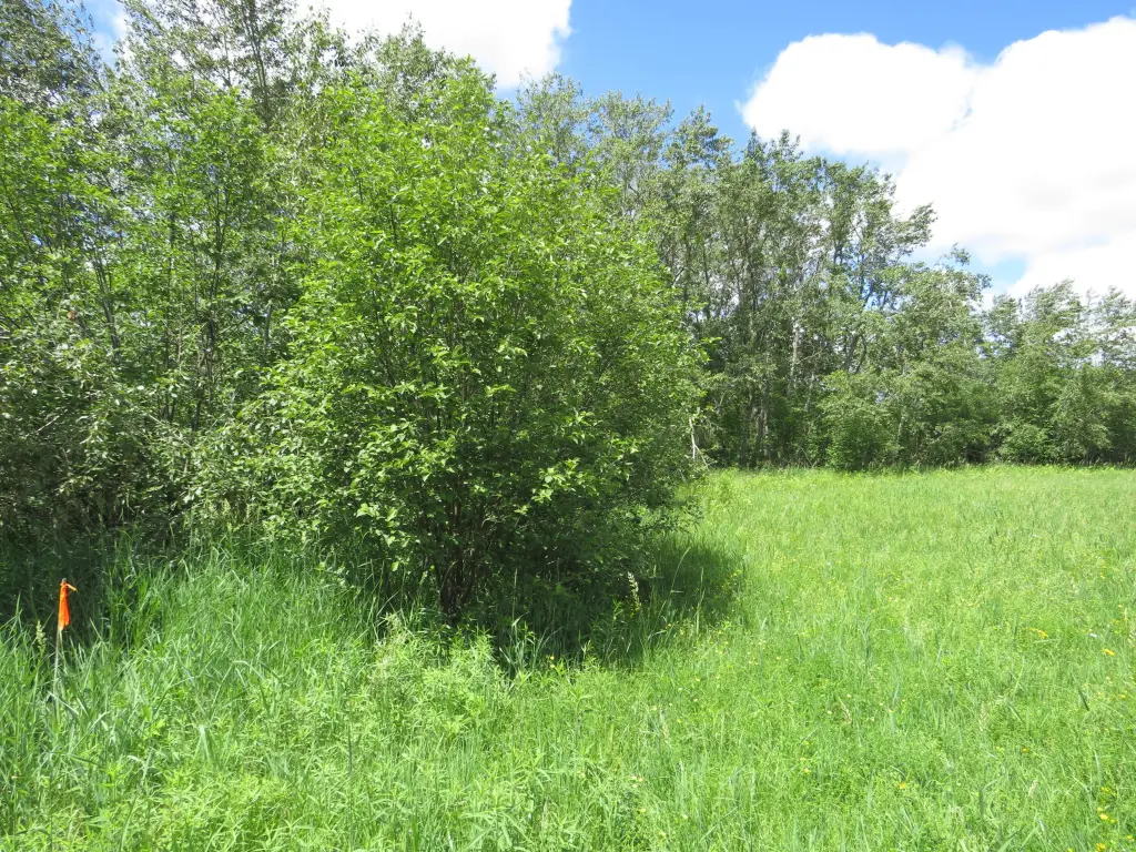 Picture 38