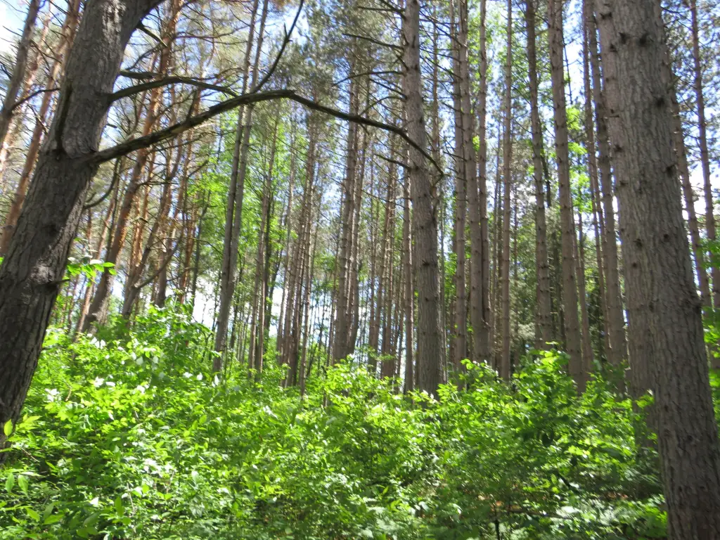 Picture 40