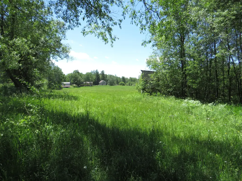 Picture 43
