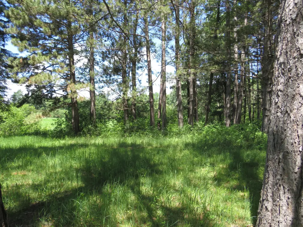 Picture 46