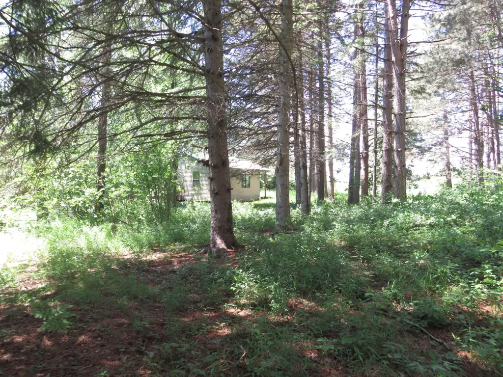 Picture 44