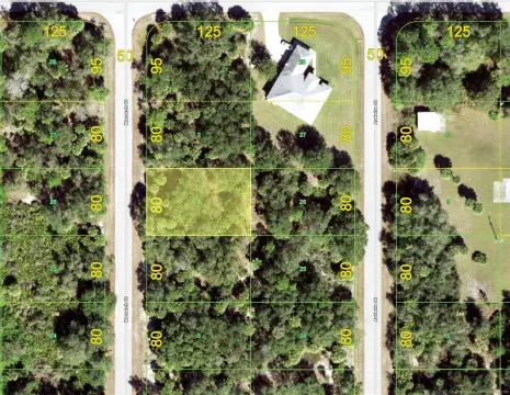 Vacant Land in Port Charlotte