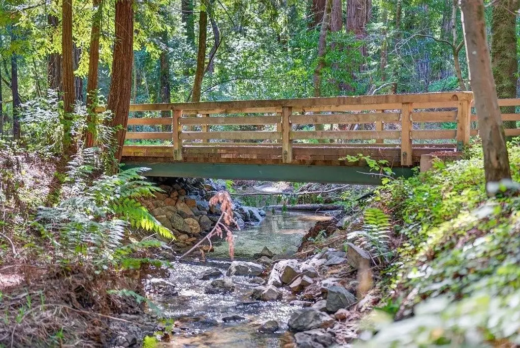 Picture 48