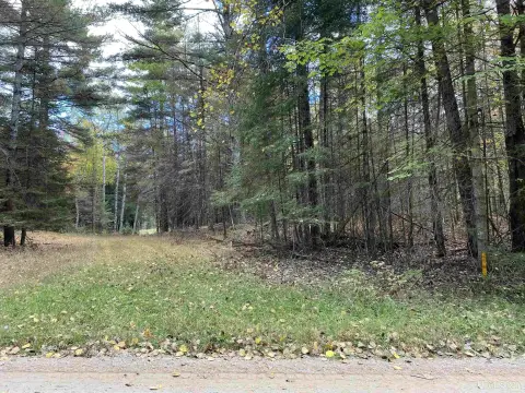 Land on Stonington Peninsula