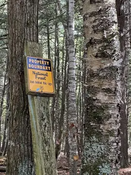 Wooded Land in Rapid River