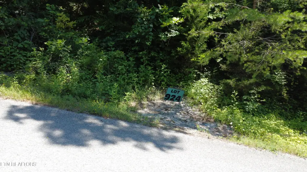 Picture 6