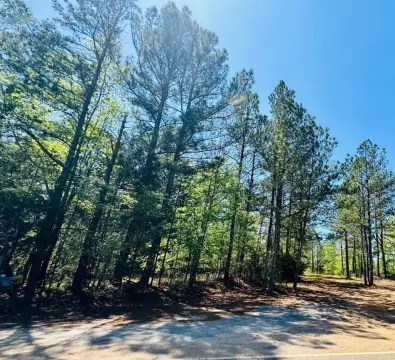 Unrestricted Recreational Land Tract