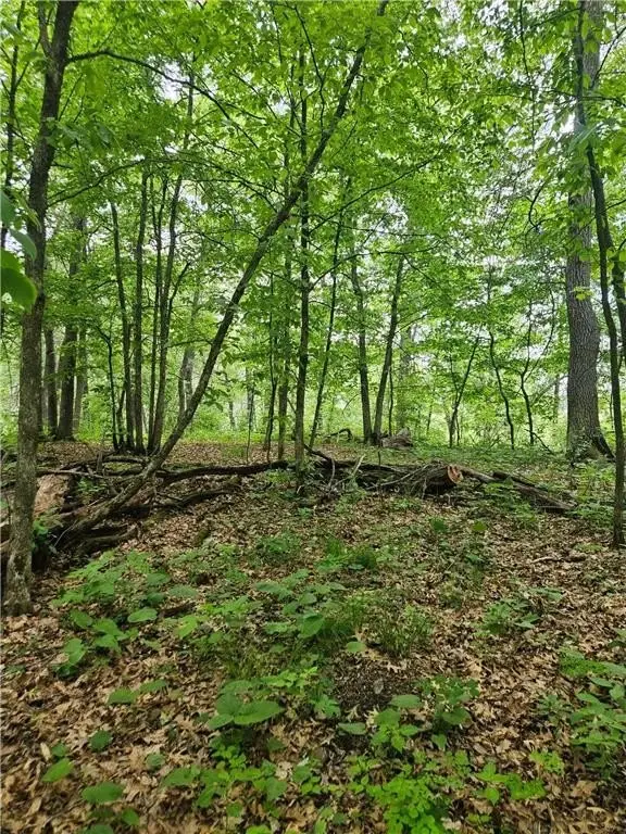 Picture 11