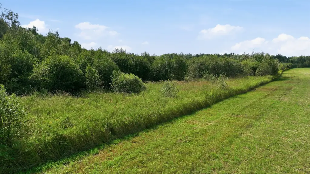 Picture 8