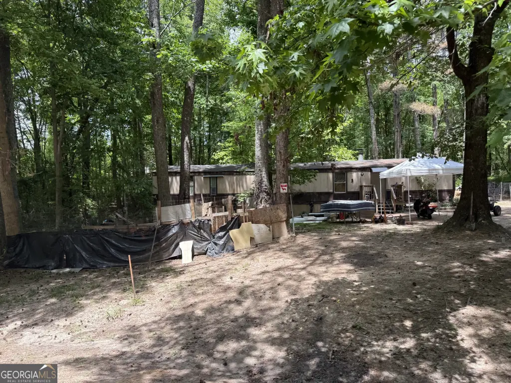 Picture 2