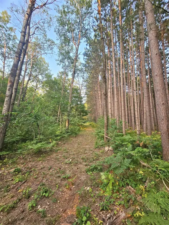 Picture 25