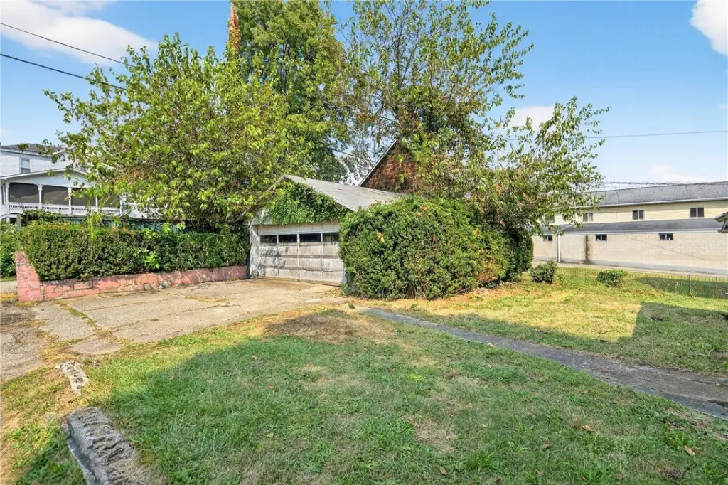 Picture 6