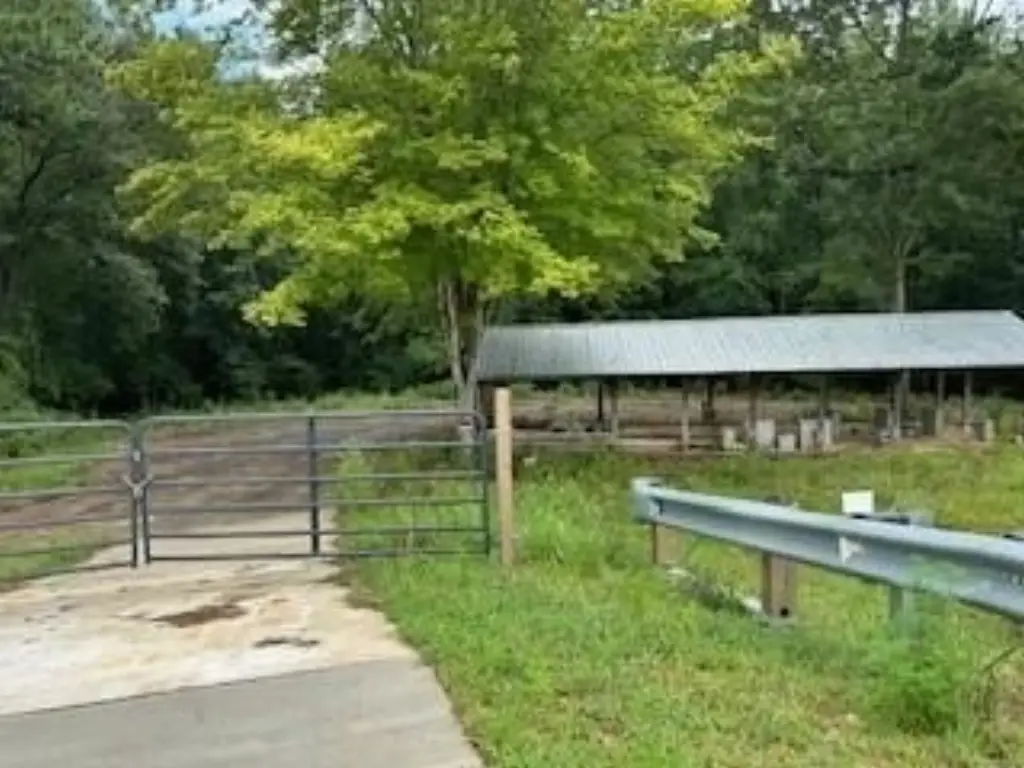 Picture 10