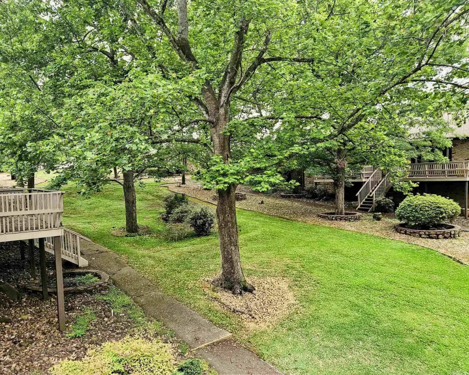 Picture 19