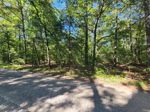 Vacant Wooded Lot Near Lake