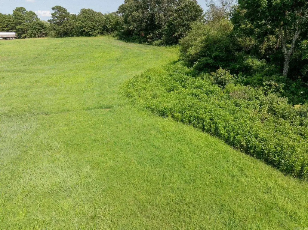 Picture 15