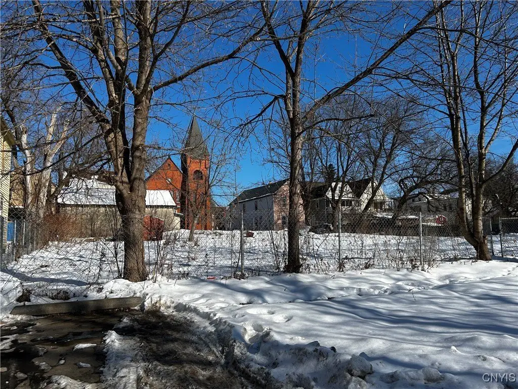 Picture 21