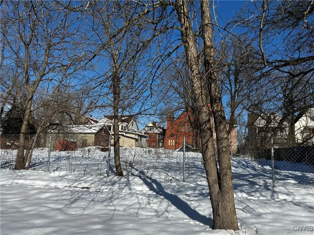Picture 24