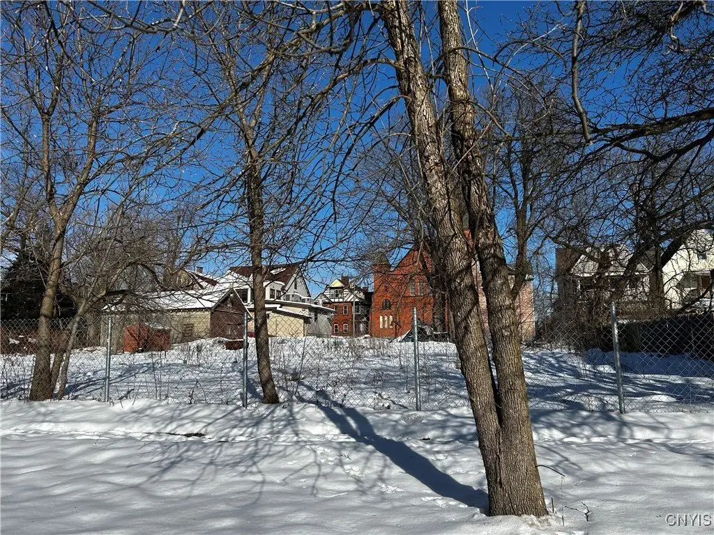 Picture 23