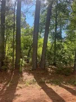 Vacant Land in Fishville Community