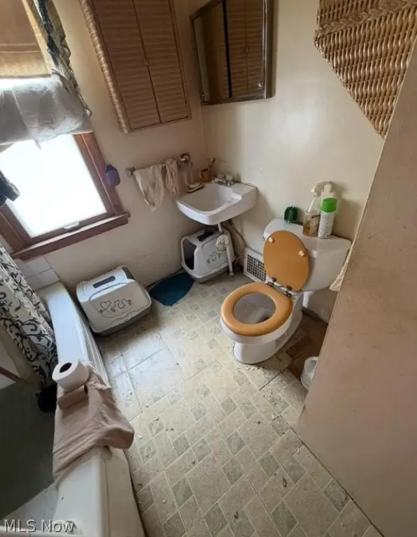 Picture 19