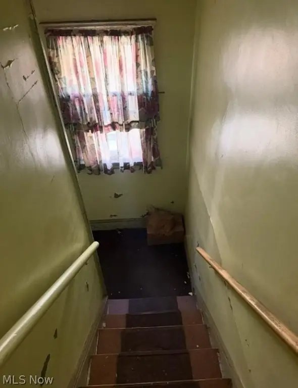 Picture 20