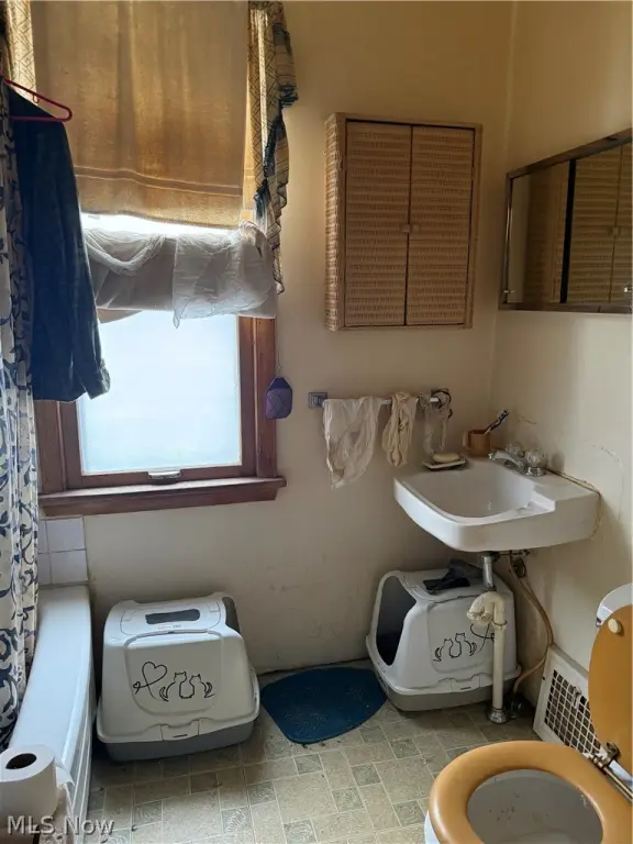 Picture 36