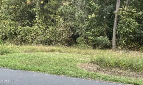 Residential Land in Dortches, NC