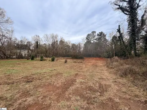 Commercial Land on Poinsett Highway