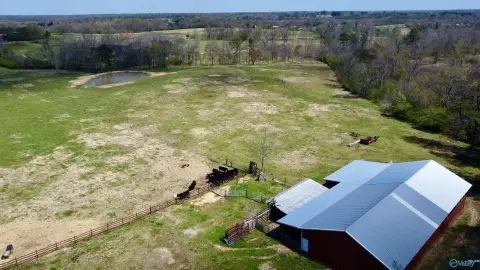 77 Acres in Horton, Alabama